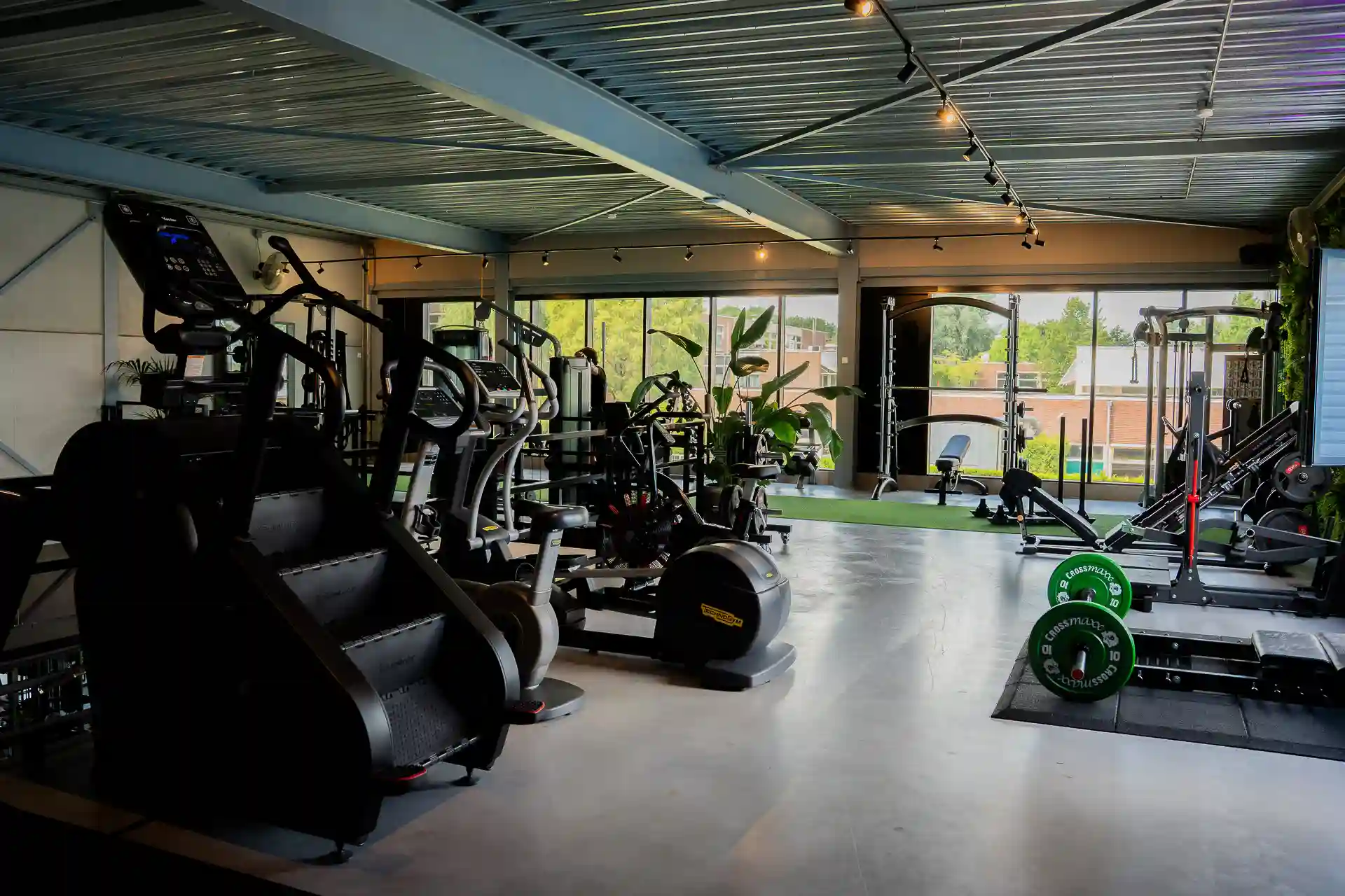 Cardio- en krachtruimte bij Body Focus met uitzicht op groen