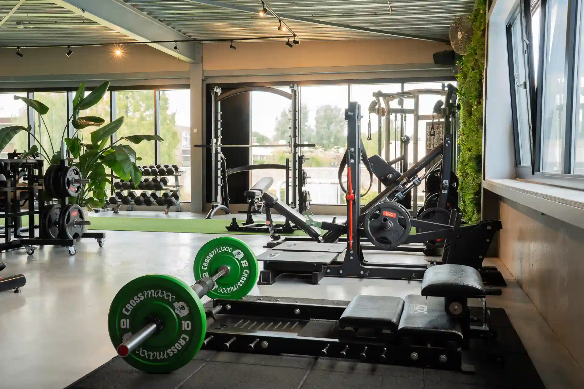 Trainingsvloer van Body Focus Open Gym met barbells, dumbbells, squat rack en groene wand bij grote raampartij
